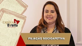 Explica Direito Filiação Socioafetiva  2019 [upl. by Tanney]