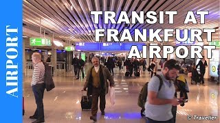 TRANSIT WALK AT FRANKFURT Airport FRA Terminal 1  Connection Flight Transfer Arriving amp Departing [upl. by Pippas]